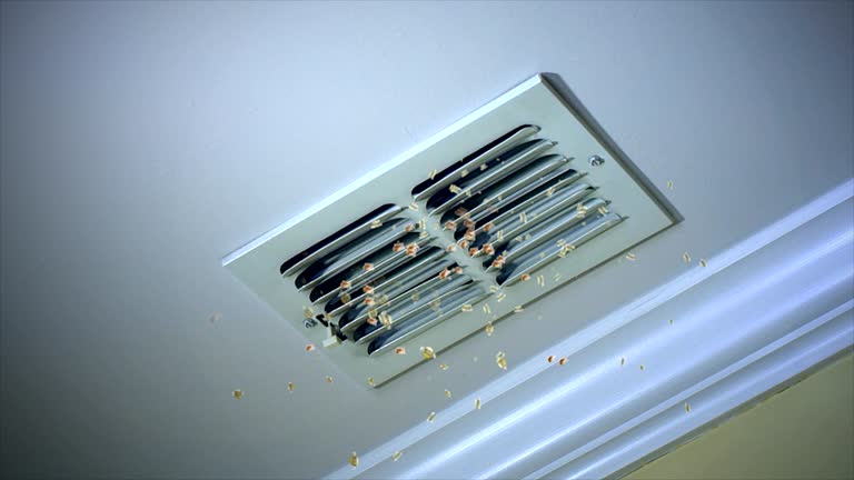 Best Air Vent Cleaning Services  in Greenville, VA